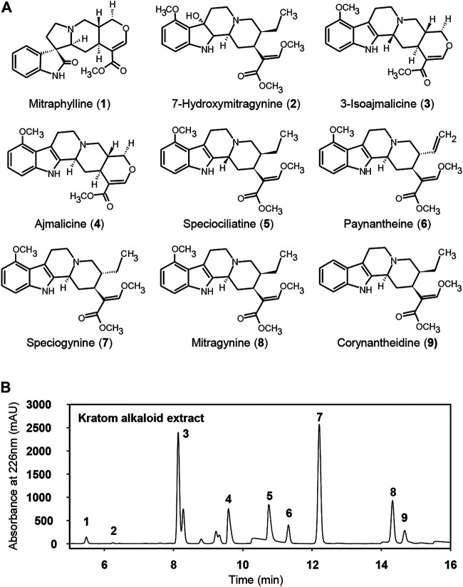 FIGURE 1