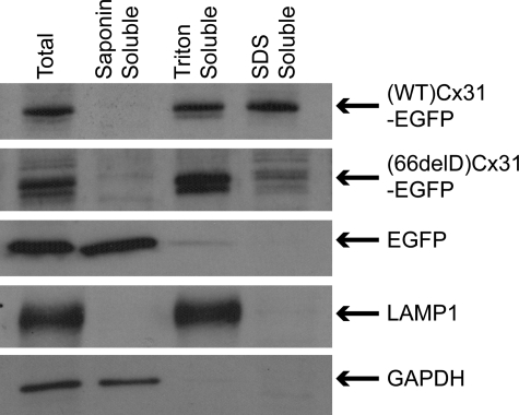 Figure 2.