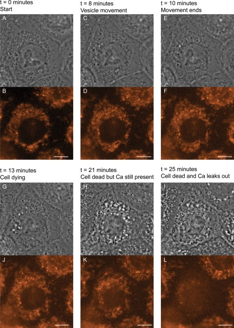 Figure 4.