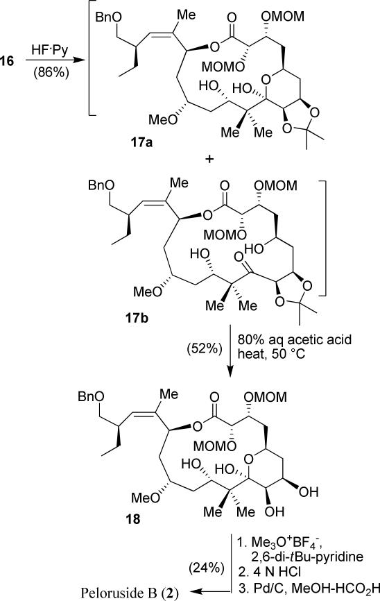 Scheme 4