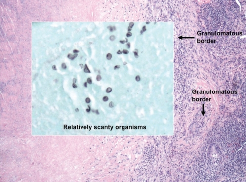 Figure 3)