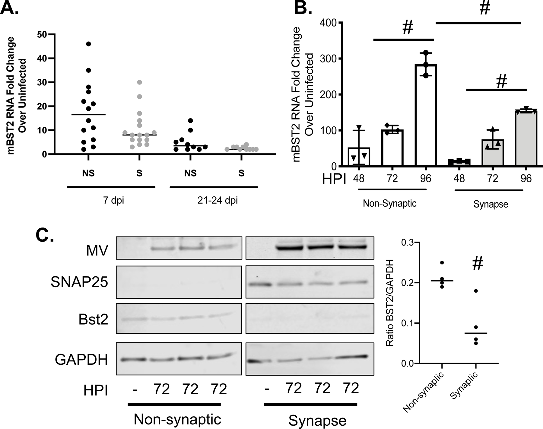 Figure 3: