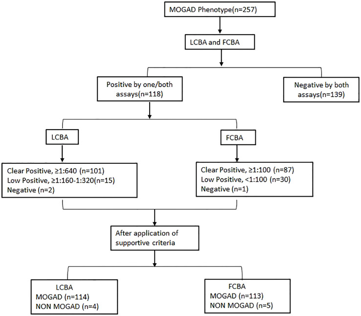 Figure 1