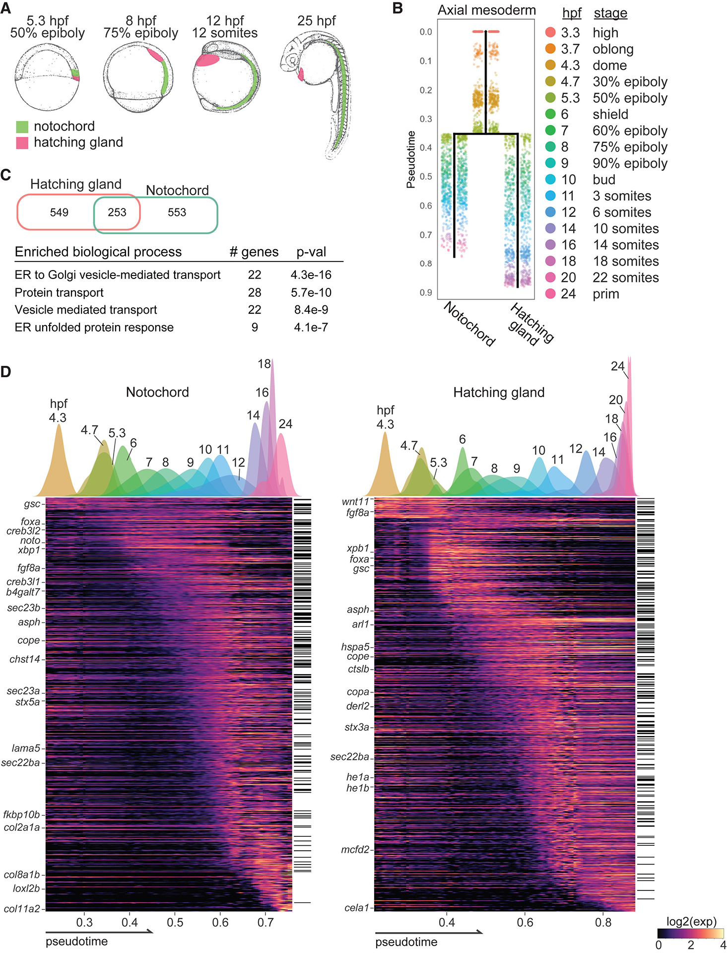 Gene module reconstruction identifies cellular differentiation ...