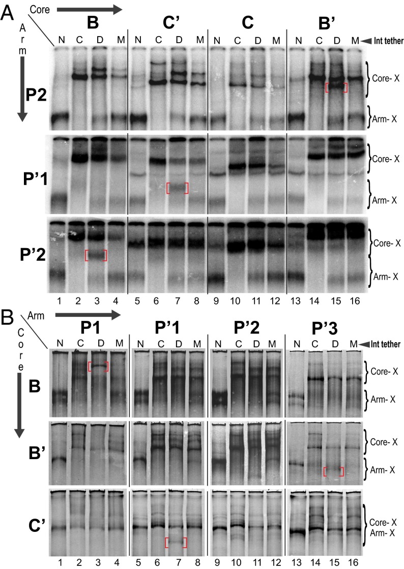 Fig. 3.