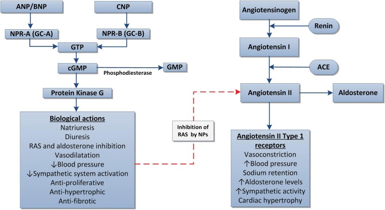 FIGURE 1: