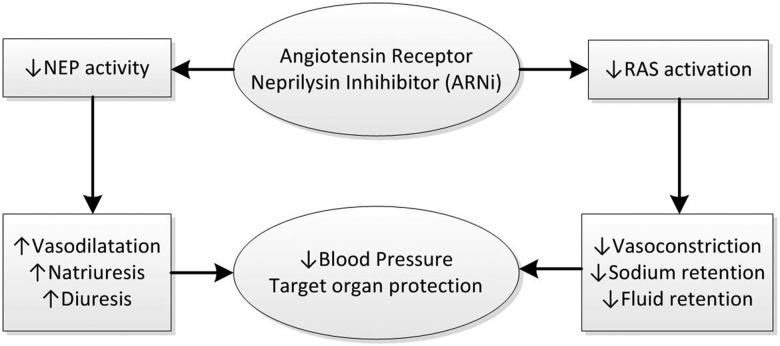 FIGURE 3: