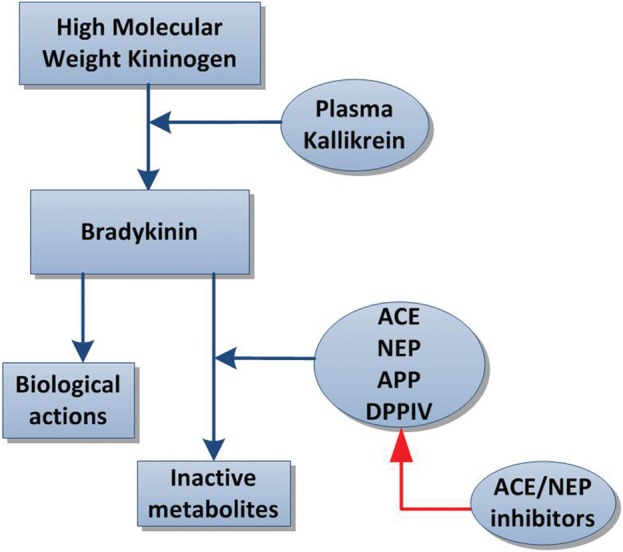 FIGURE 2: