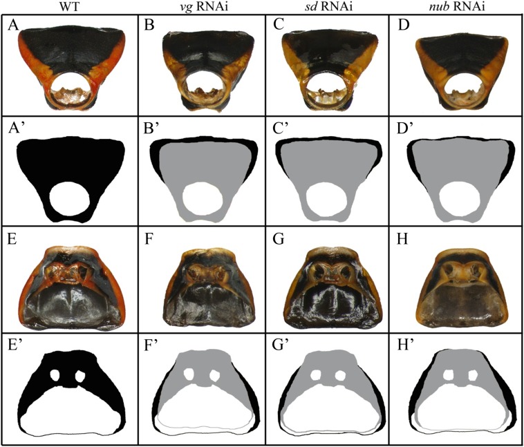 Fig. S2.