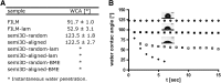 <b>FIG. 2.</b>