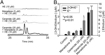 Fig. 7.