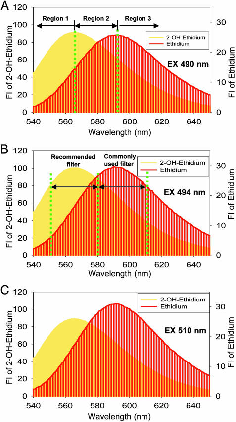 Fig. 8.