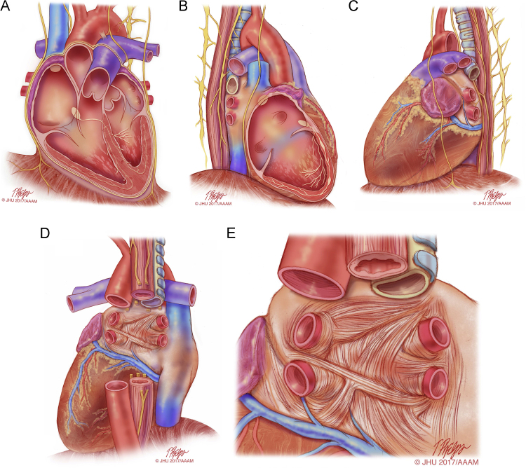 Figure1