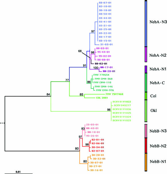 FIG. 2.