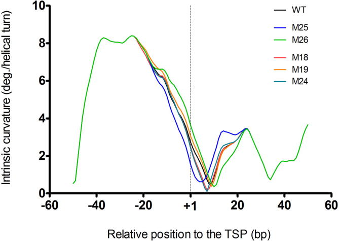 Supplementary Figure S2