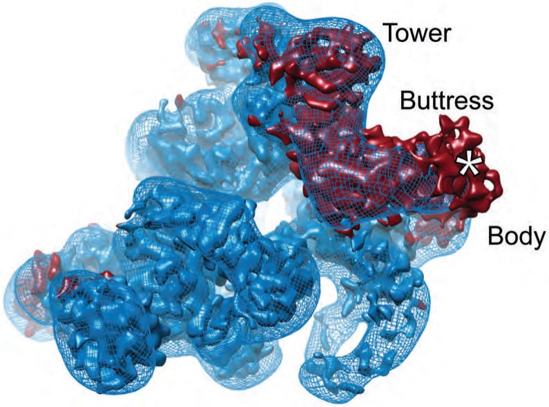 Figure 2—figure supplement 1.