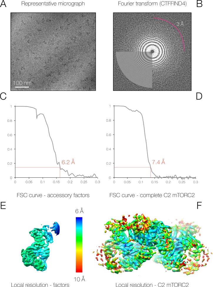 Figure 1—figure supplement 3.