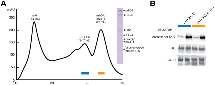 Figure 1—figure supplement 1.