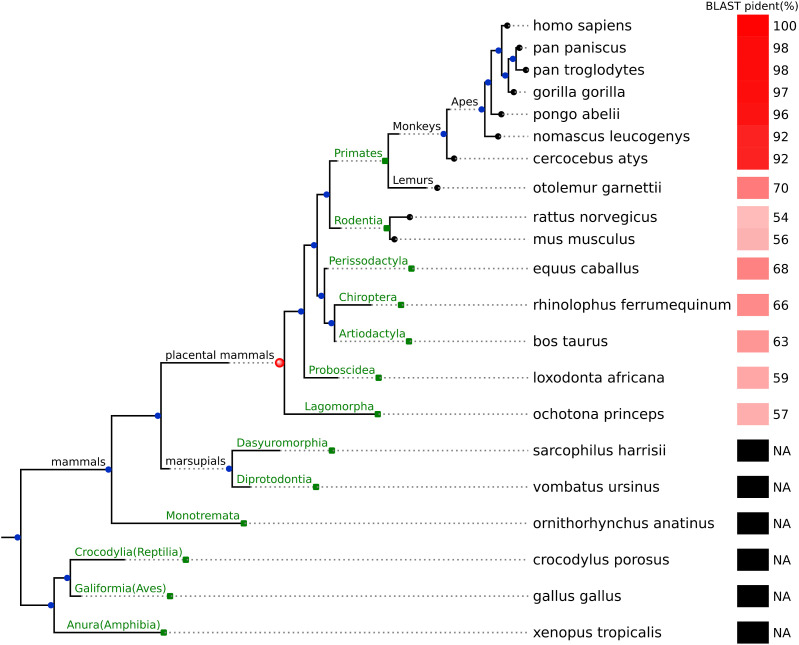 Figure 6.