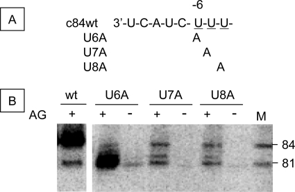 FIGURE 9.