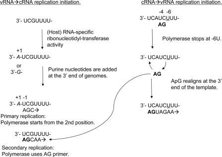 FIGURE 10.