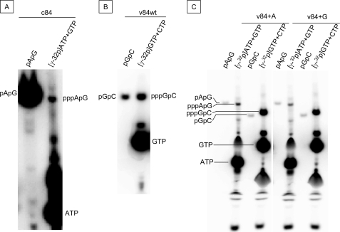 FIGURE 4.