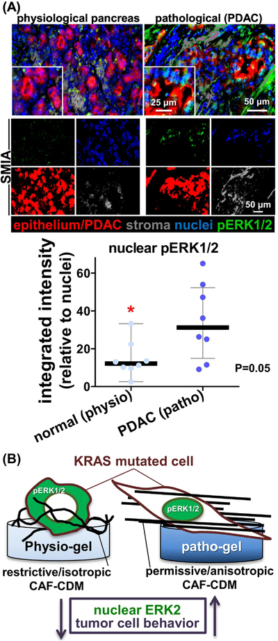 Figure 6: