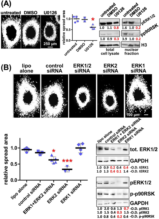 Figure 5: