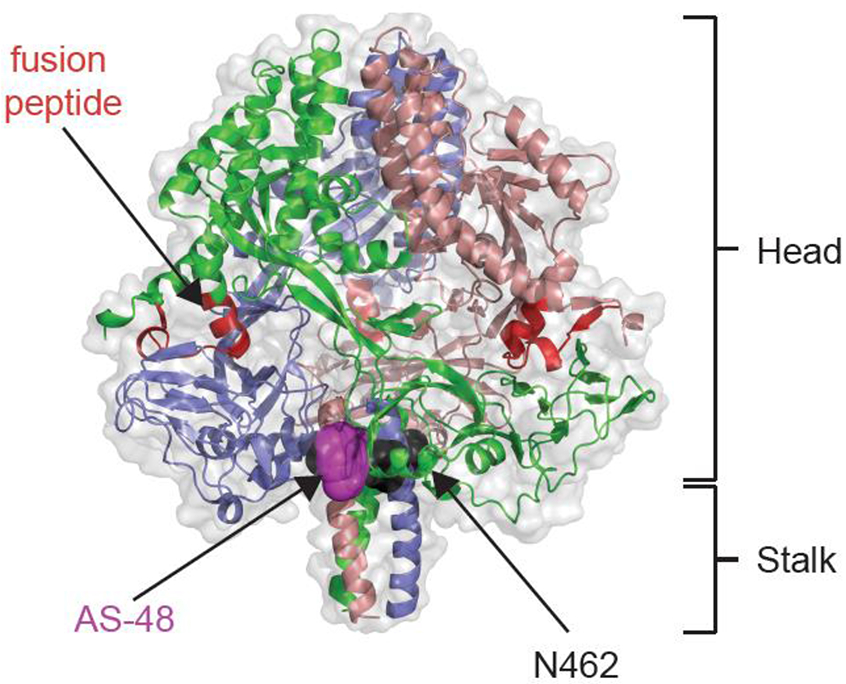 Figure 2.