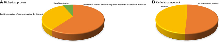 Figure 5