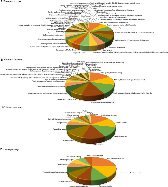 Figure 4