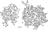 FIG. 9.