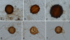 FIG. 3.