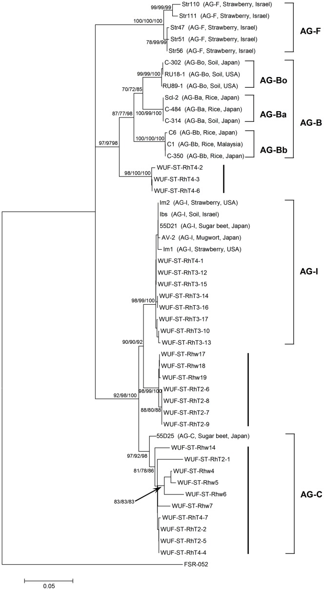 Figure 5