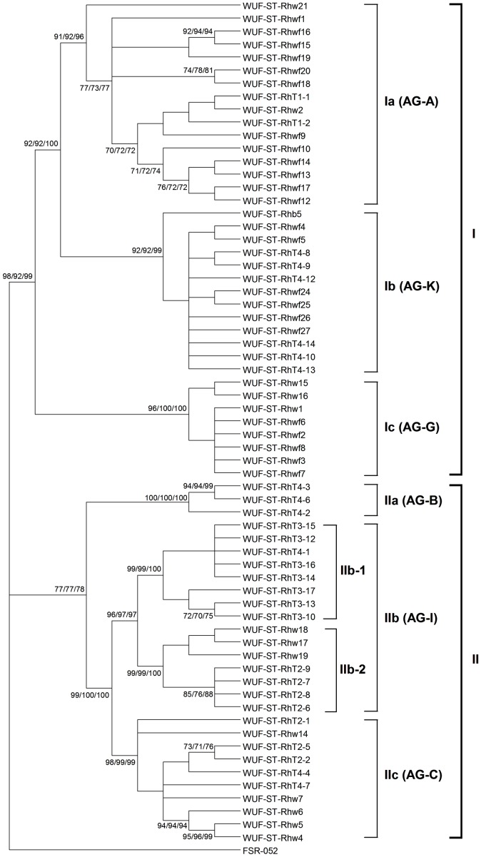 Figure 2