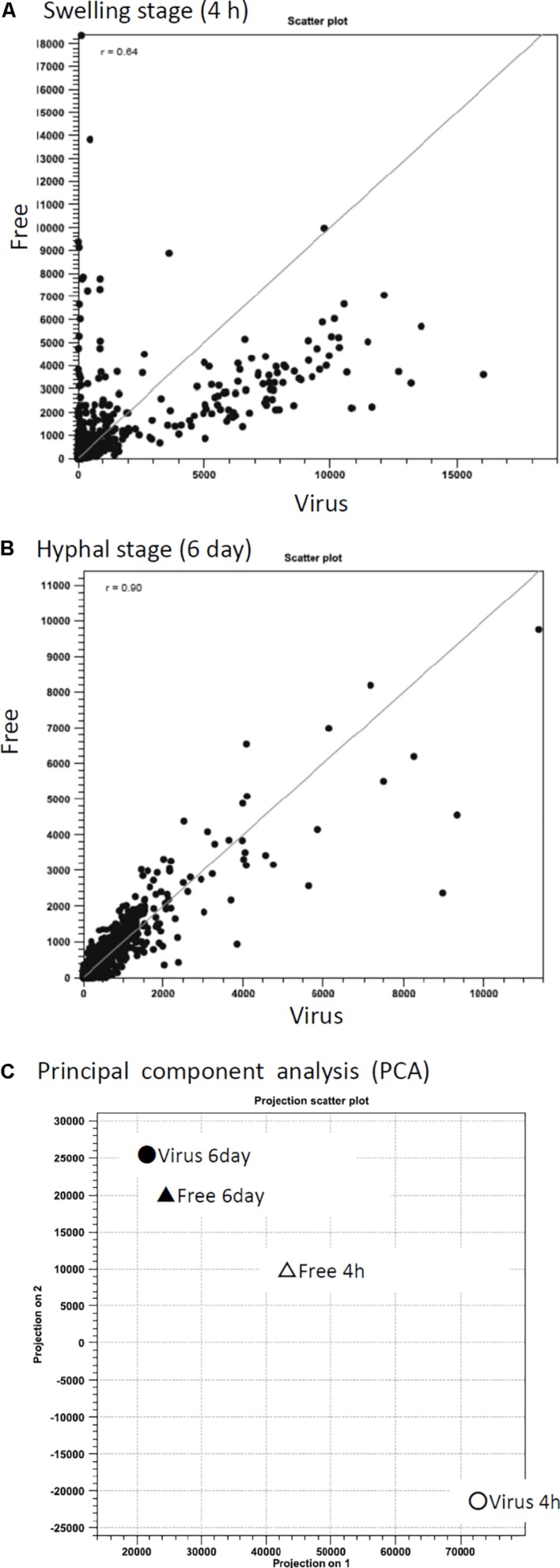 FIGURE 6