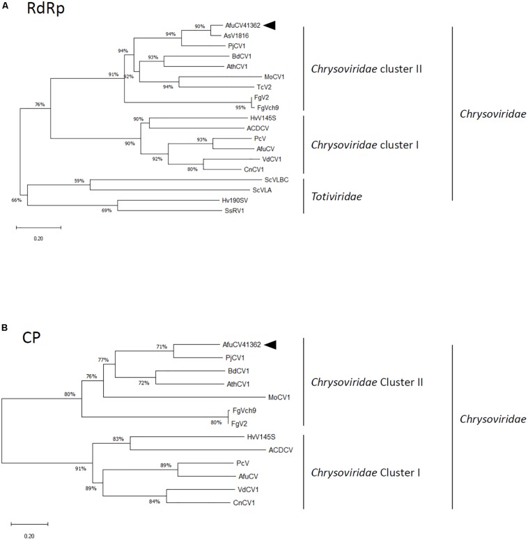 FIGURE 2