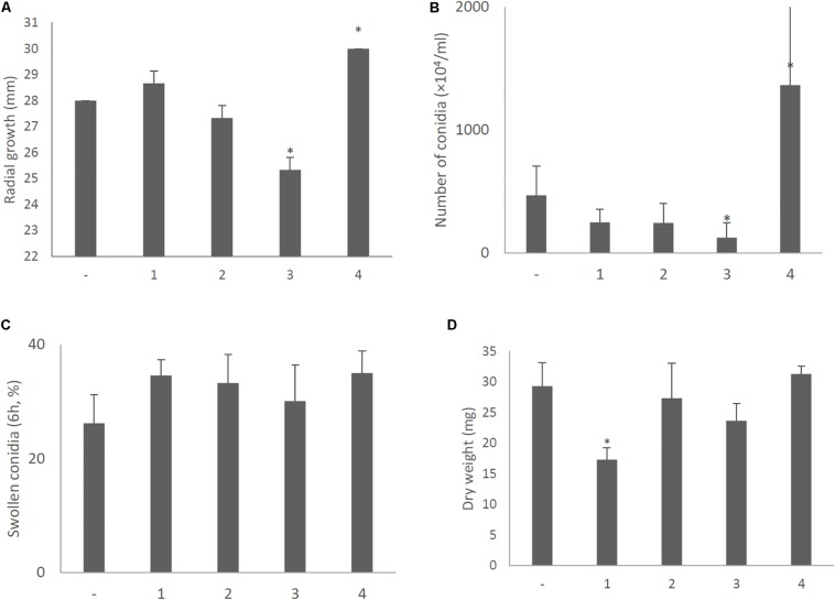 FIGURE 12