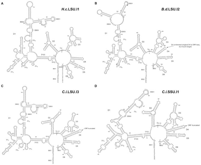 Figure 2.