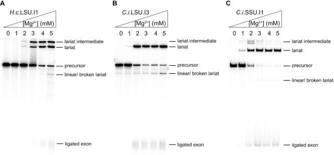 Figure 3.