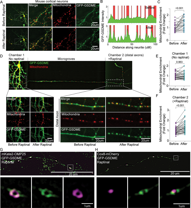 Figure 3: