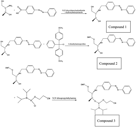 graphic file with name pnas.1018358108figX1.jpg