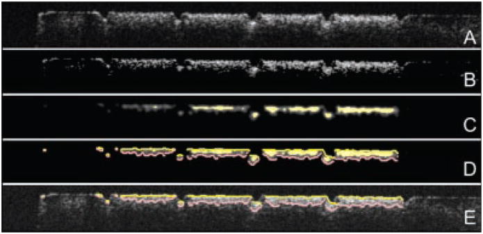 Fig. 3