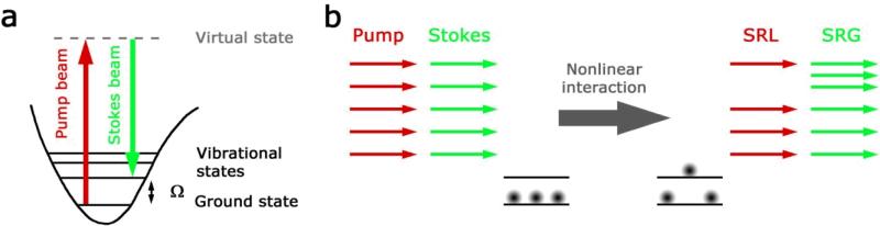 Fig.1