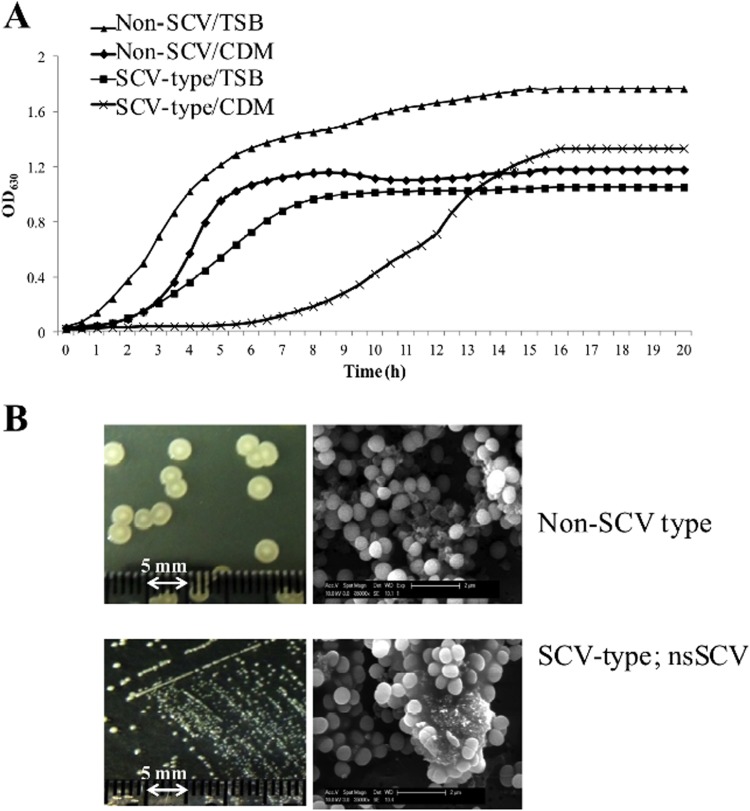 FIG 4