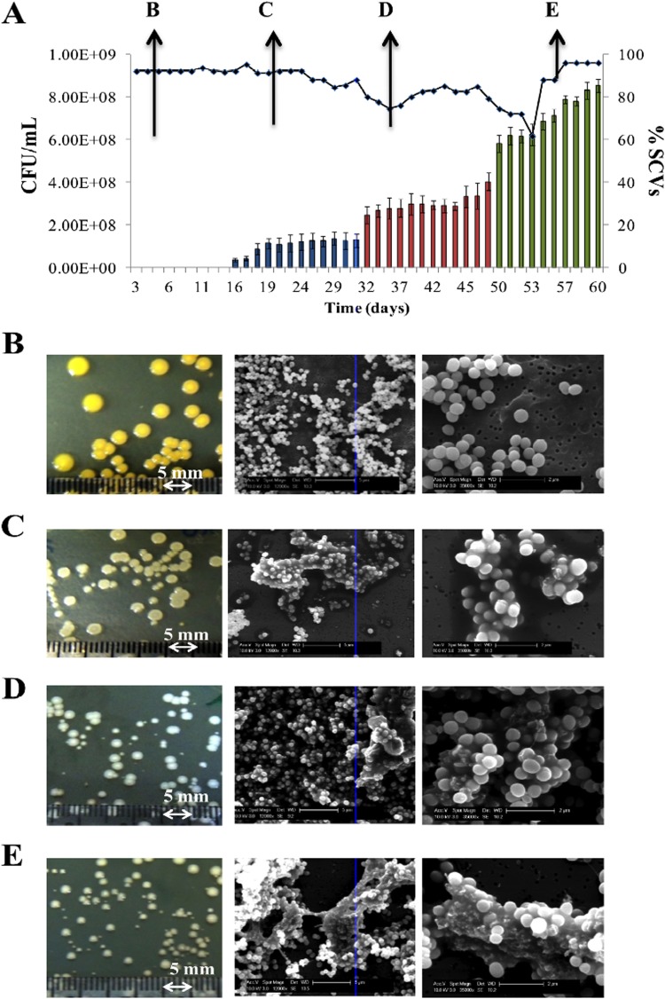 FIG 3