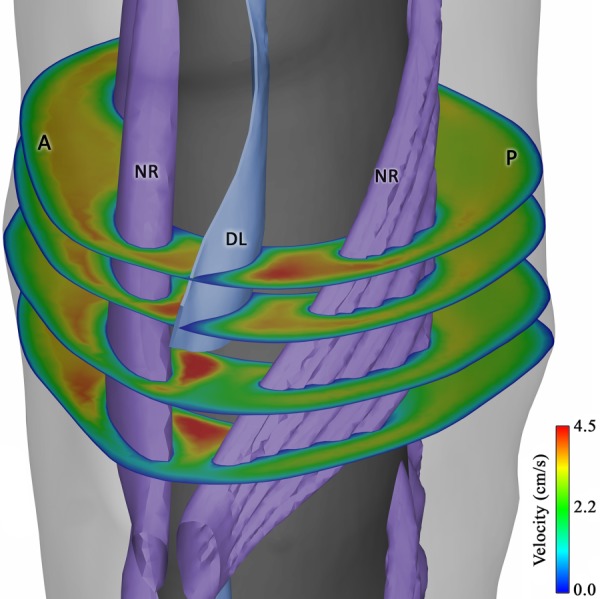 Fig. 6