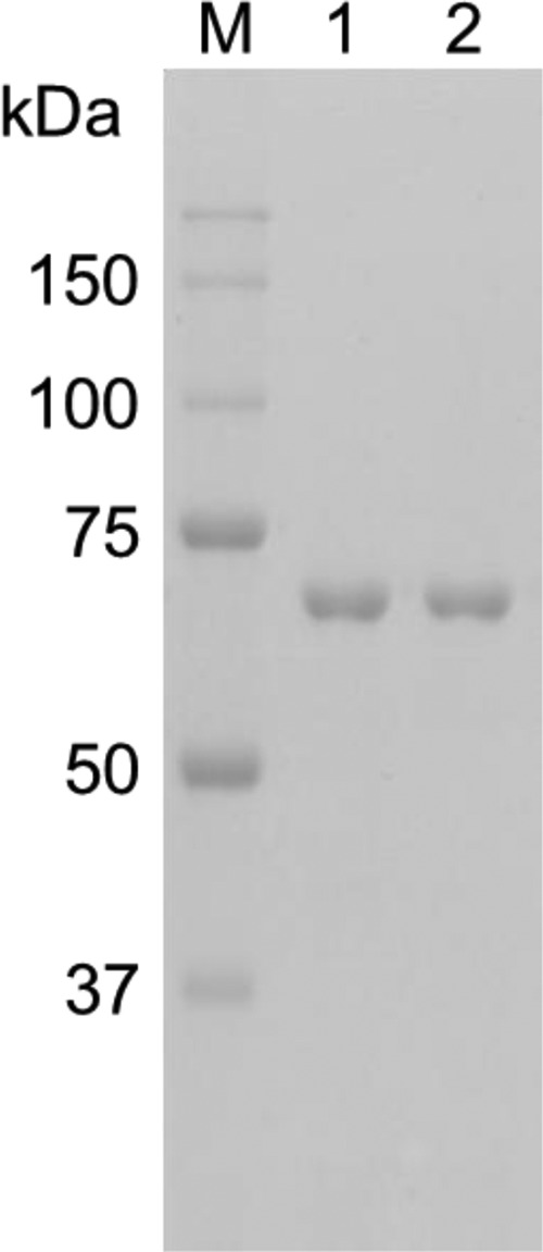 FIG 3