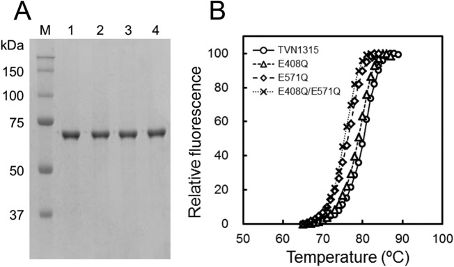 FIG 8