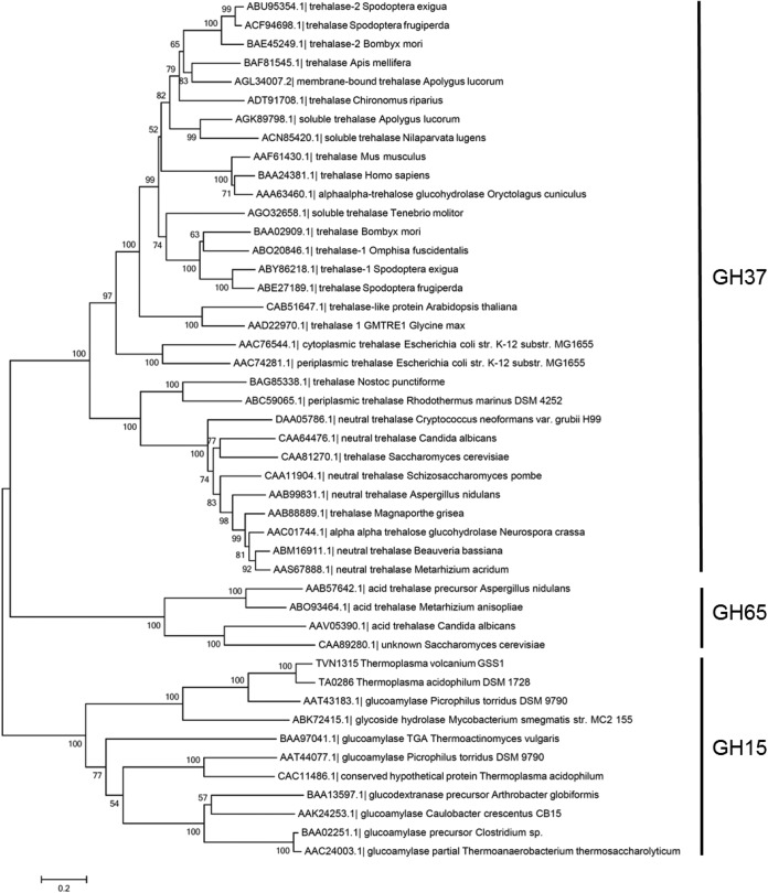 FIG 1